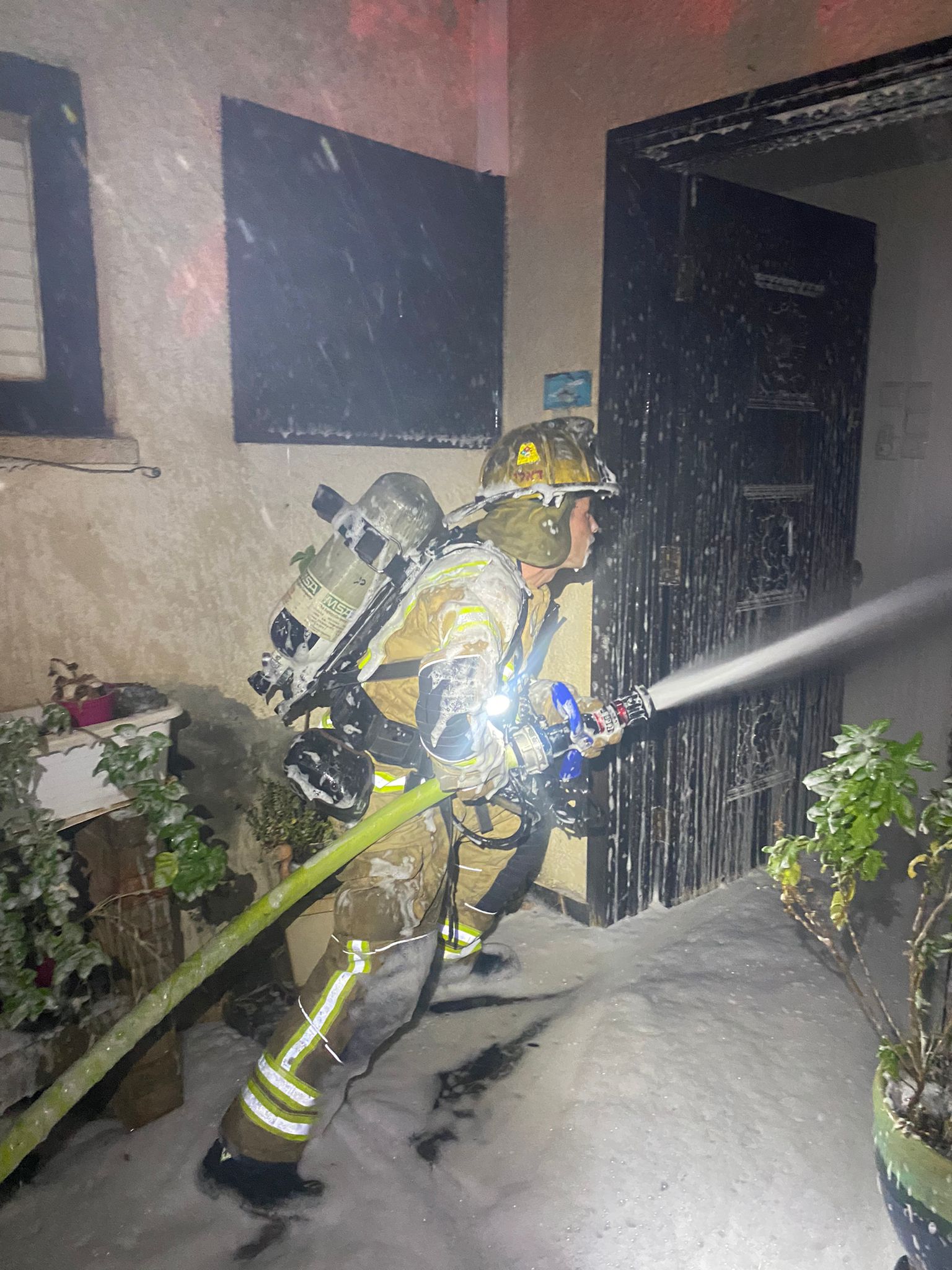 WhatsApp Image 2023-11-13 at 20.49.22.jpeg